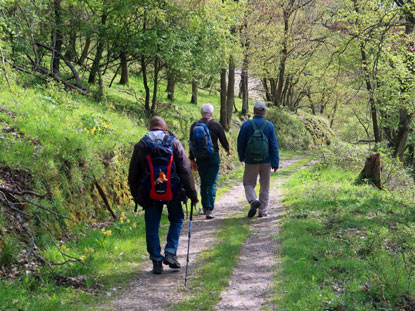 Wandergruppe nach dem Abstieg vom Engweger Kopf