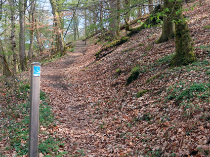 Steiler Abstieg vom Saurierfelsen in das Sauerbornbachtal