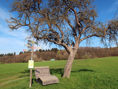 Kreuzung Am Apfelbaum bei Espenschied