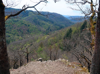 Blick ins Wispeertal vom Mehrholzblick
