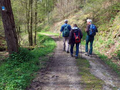Wanderer unterwegs im Sauerbornbachtal