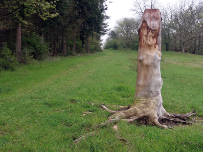 Mandelberg bei Lorch